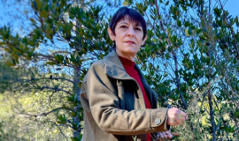 Terapies Anna Català Rodes