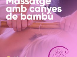 AnteriorSegüent Massatge amb canyes de bambú