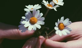 minimalist cosmetics