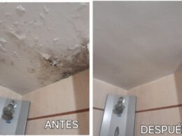 Pintura i rehabilitació de parets i murs