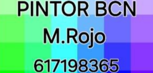 PINTOR BCN